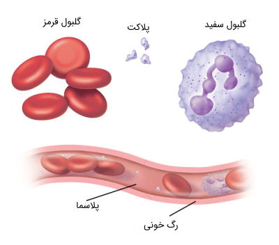 پی‌ آر پی چیست؟ داستان پلاکت معجزه گر