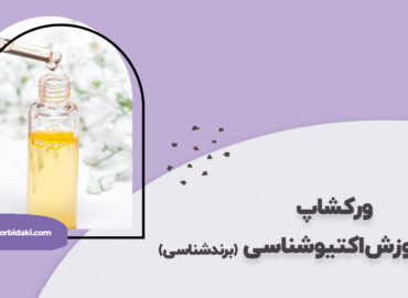 آموزش اکتیو شناسی و برند شناسی