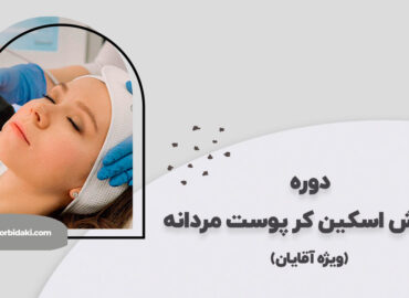 آموزش اسکین کر جامع صفر تا صد ویژه آقایان