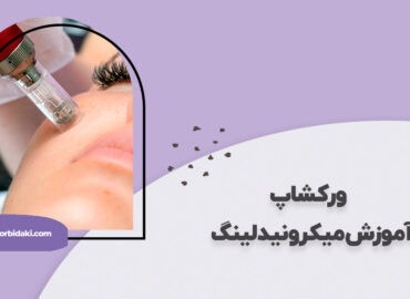 آموزش میکرونیدلینگ