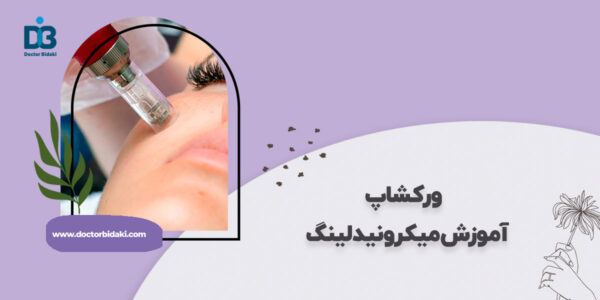 آموزش میکرونیدلینگ
