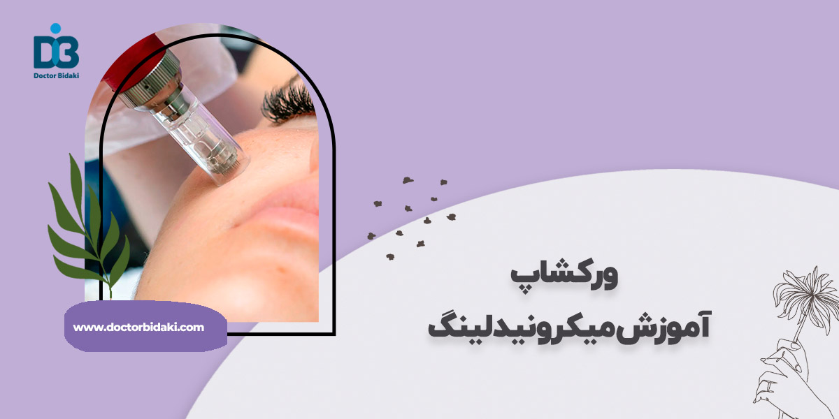 آموزش میکرونیدلینگ