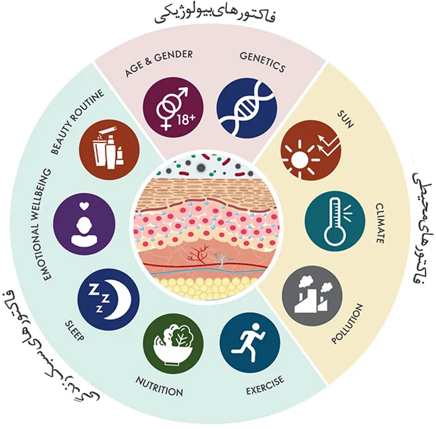 فاکتورهای بیولوژیکی جوان سازی پوست